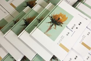 分享一篇簡短卻文藝范十足的畢業(yè)紀(jì)念冊(cè)序言
