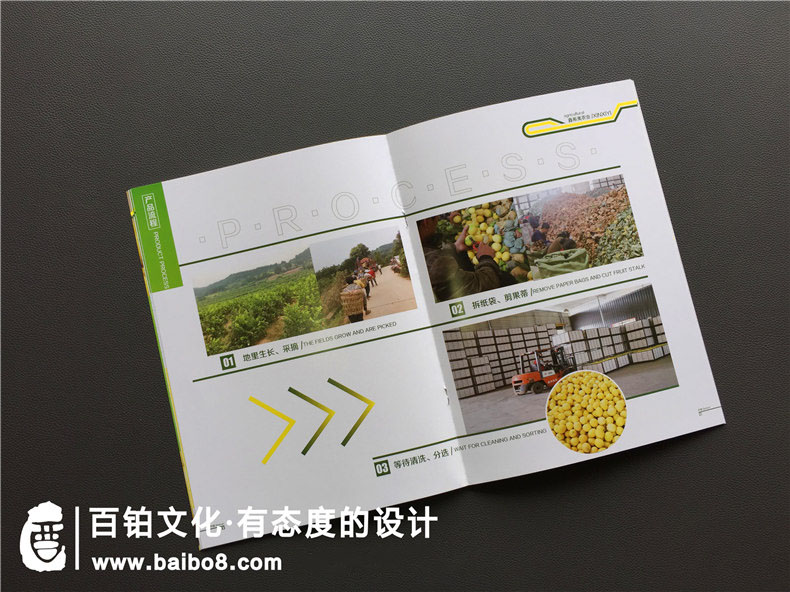 宣傳小手冊(cè)怎么寫(xiě)
