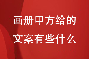 畫(huà)冊(cè)甲方給的文案有些什么