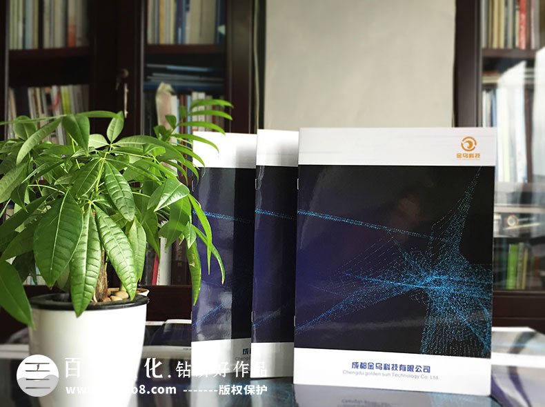 企業(yè)畫(huà)冊(cè)的內(nèi)容目錄